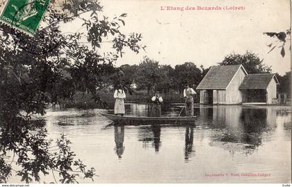 CHATILLON-COLIGNY ET SES ENVIRONS L'ETANG DES BEZARDS