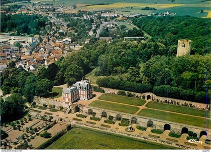 CPM Chatillon Coligny (Loriet) Vue Aerienne Le Chateau