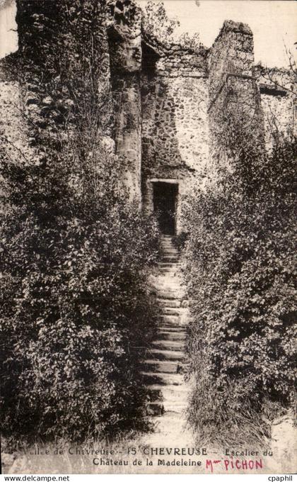 CPA Allee de Chevreuse Chevreuse Escalier du Chateau de la Madeleine