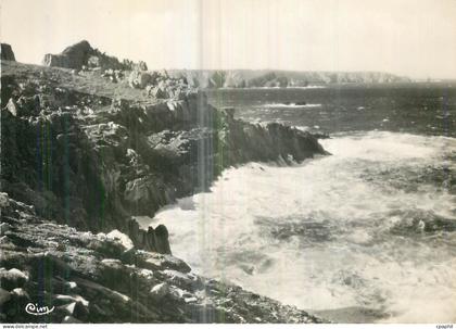 CPM Cleden Cap Sizun (Finistere) Pointe de Brezellec Cote Ouest