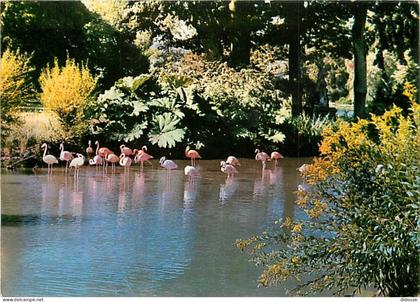 Carte Postale - 76 - Clères - Parc Zoologique de Clères - Flanants Roses et Rouges - Carte Neuve - CPM - Voir Scans Rect
