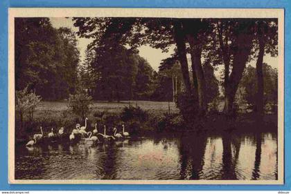 Carte Postale Ancienne - 76 - Clères - Le Parc Zoologique - Flammants - Carte Vierge