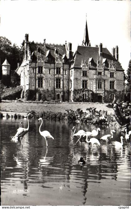 CPA Parc Zoologique De Cleres Le Chateau Et Les Flamants Roses Zoo