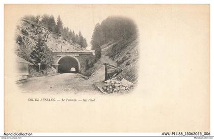 AWUP11-0733-88 - COL DE BUSSANG - Le tunnel