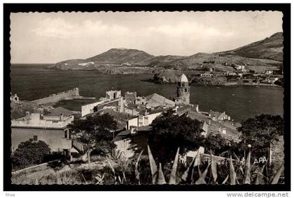 66 Collioure D66D C66053C RH064446