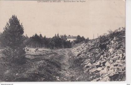 COLOMBEY LES BELLES(ARBRE) SAPIN