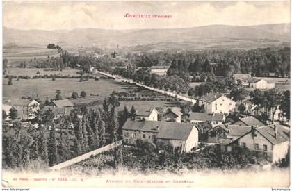 CPA - Carte postale France Corcieux Avenue du  Rein Meline  1919  VM52377