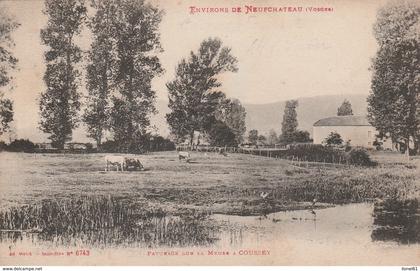 COUSSEY : (88) Pâturage sur la Meuse à Coussey