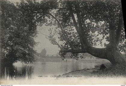 CPA Creteil Arbre Penche