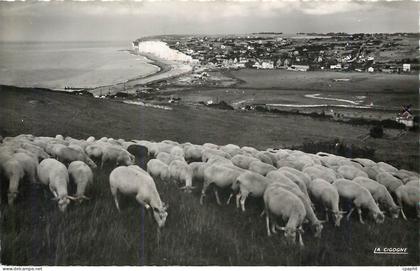 CPM Criel sur Mer (Seine Mmes) Panorama pris des falaises d'aval Moutons