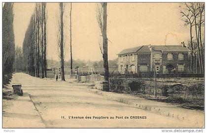 - ref L163 - essonne - crosnes - crosne - avenue des peupliers au pont - peuplier - arbre - arbres - villa - villas -