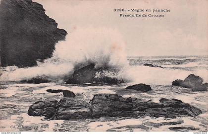 29 CROZON PRESQU ILE DE CROZON