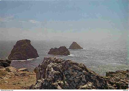 Carte Postale - 29 - Presqu'ile de Crozon - Les Tas de Pois - Voir Scans Recto Verso