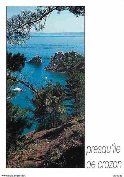 Carte Postale - 29 - Presqu'ile de Crozon - Morgat - Les Falaises - Voir Scans Recto Verso