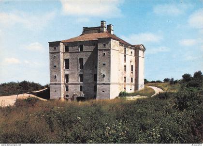89 CRUZY LE CHATEL LE CHATEAU DE MAULNES