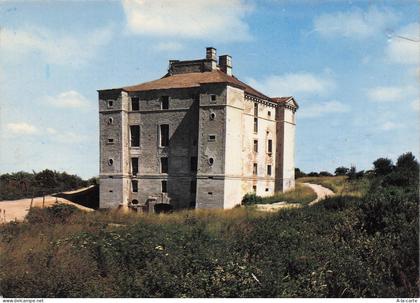 89 CRUZY LE CHATEL LE CHATEAU DE MAULNES