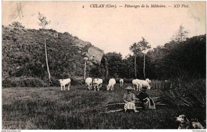 CPA   Carte Postale  France  Culan Pâturage de la Métivière 1909 VM107614