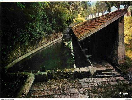 Carte Postale - 47 - Damazan - La fontaine des Anglais et son lavoir - CPM - Voir Scans Recto-Verso - Poscard - Carta Po