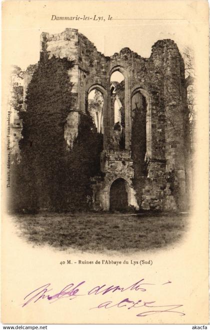 CPA DAMMARIE-les-LYS Ruines de l'Abbaye du Lys (1329460)