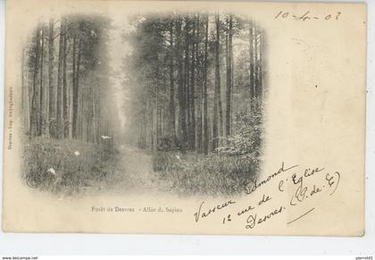 DESVRES - Forêt de Desvres - Allée des Sapins