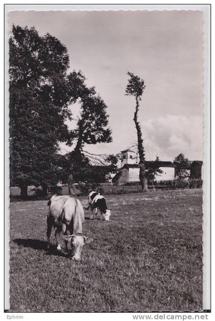 DIEMOZ - Vue sur l'Eglise 1963 Vache
