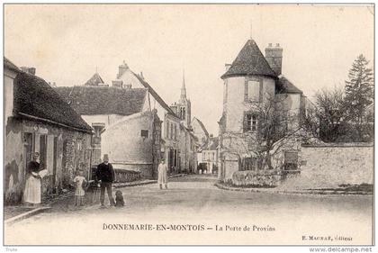 DONNEMARIE-DONTILLY DONNEMARIE-EN-MONTOIS LA PORTE DE PROVINS ANIMEE