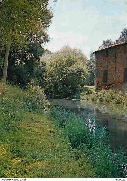 Carte Postale - 52 - Doulevant le Château - Vue sur rivière - CPM - Voir Scans Recto-Verso - Poscard - Carta Postal -  P