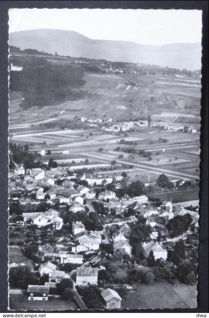 74 Douvaine vue aerienne