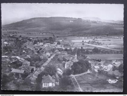 74 Douvaine vue aerienne