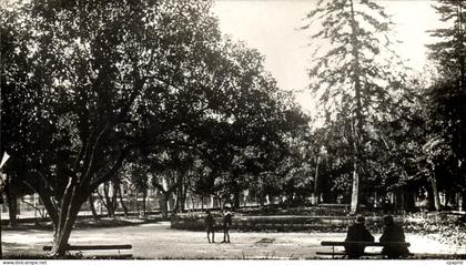 CPA Draguignan Var le jardin Anglais