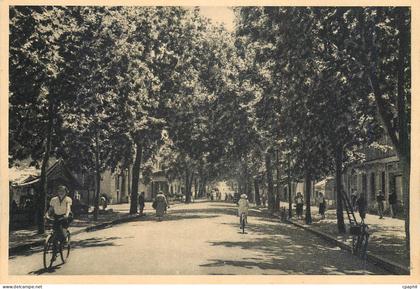 CPM Draguignan Boulevard Georges Clemenceau L'Esplanade