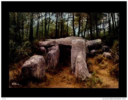56 - ERDEVEN - dolmen