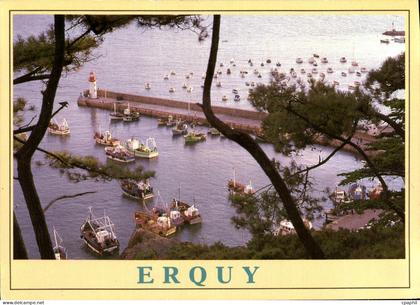 CPSM La Cote de Penthievre Erquy