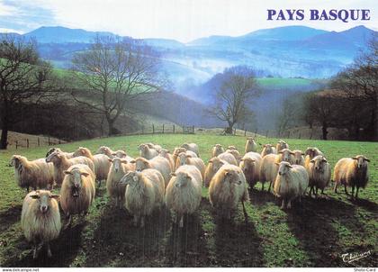 64 ESPELETTE ENVIRONS D ESPELETTE