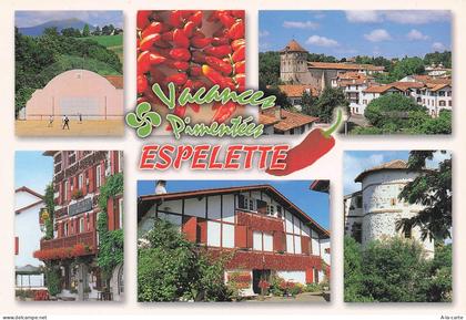 64 ESPELETTE VUE D ESPELETTE