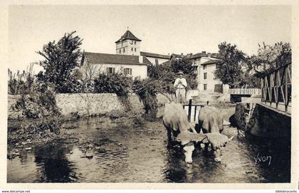D64 PAYS BASQUE - ESPELETTE < ATTELAGE BASQUE