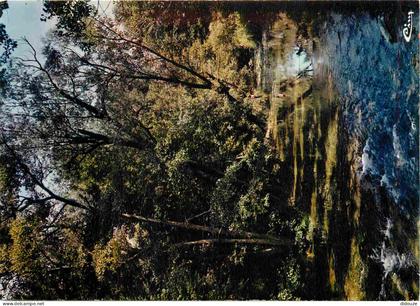 Carte Postale - 10 - Essoyes - L'Ource - CPM - Carte Neuve - Voir Scans Recto-Verso - Poscard - Carta Postal -  Postkart