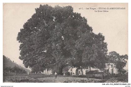 CAR-AFVP19-1015-88 - ETIVAL-CLAIREFONTAINE - Le gros chene