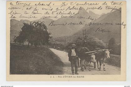 EVIAN LES BAINS - Près d'EVIAN LES BAINS (Attelage boeufs )