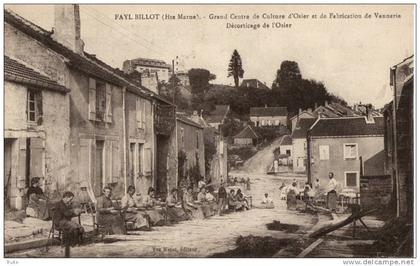 FAYL-BILLOT GRAND CENTRE DE CULTURE D OSIER ET DE FABRICATION DE VANNERIE DECORTICAGE DE L OSIER