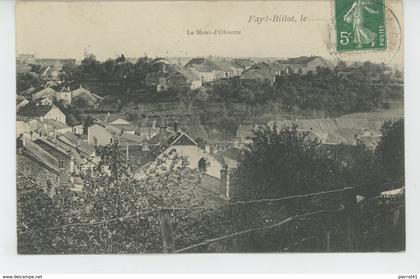 FAYL BILLOT - Panorama