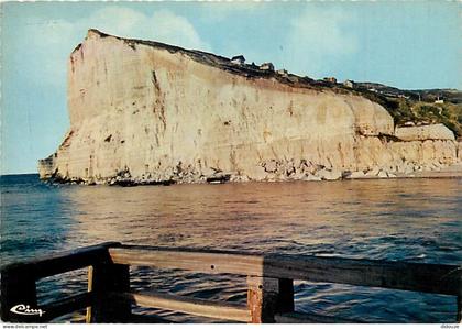 76 - Fécamp - Le Trou aux Chiens - Falaises - Flamme Postale de Fécamp - CPM - Voir Scans Recto-Verso