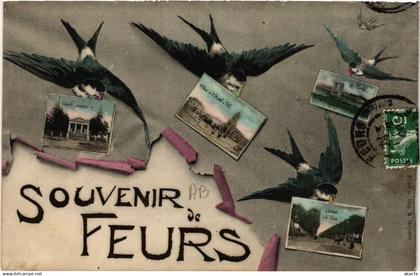 CPA Souvenir de FEURS (510145)
