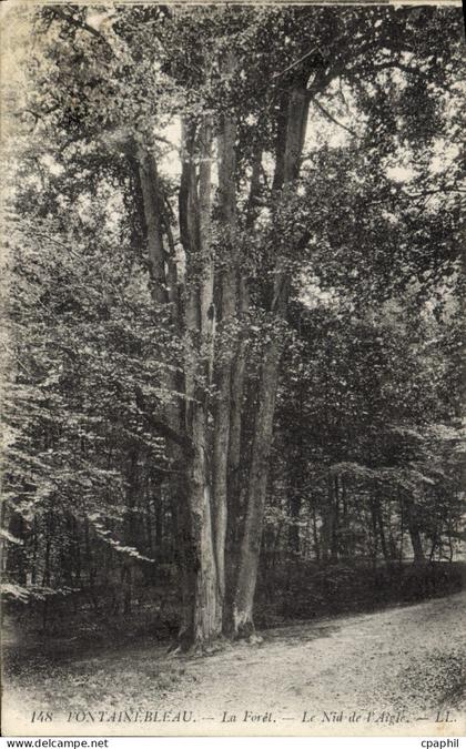 CPA Fontainebleau La Forel Le Nid de l'Aigle