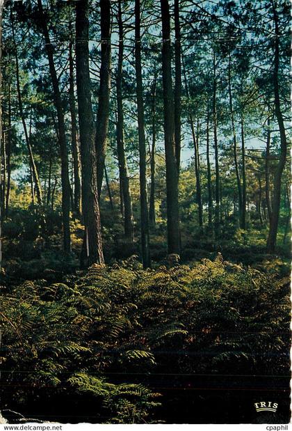 CPM Foret de Pins et Fougeres