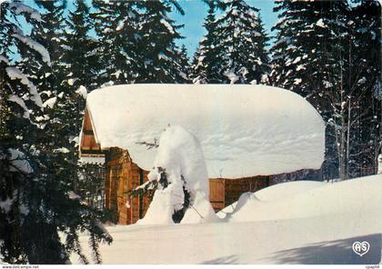 CPM La Franche Comte Pittoresque Les Rousses Le chalet sous la neige