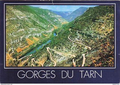 81 GAILLAC GAILLAC