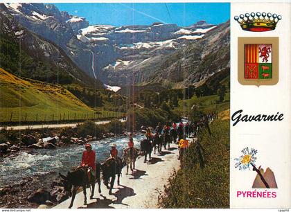 CPM Gavarnie Pyrenees