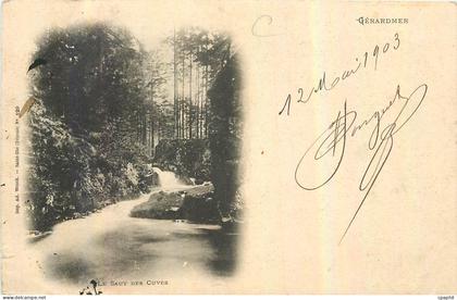 CPA Gerardmer le Saut des Cuves