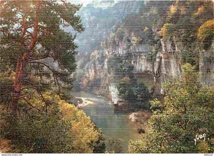 Carte Postale - 48 - Les Gorges du Tarn - Dans les Gorges - CPM - Voir Scans Recto-Verso - Poscard - Carta Postal -  Pos